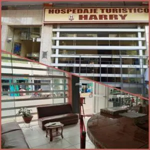 Hospedaje Turistico Harry I y II - Codo del Pozuzo