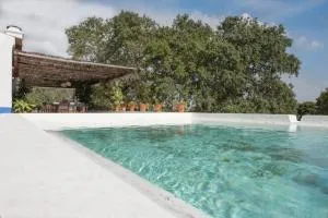 MONTE DO CORTIÇO - Brotas