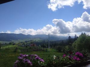 Приватна садиба "Гірський затишок"