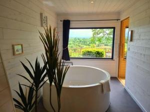 Lodges Domaine de Meros : photos des chambres