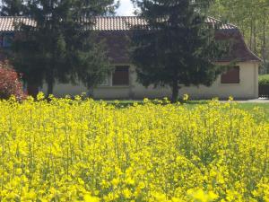 Maisons de vacances Le Noyer : photos des chambres