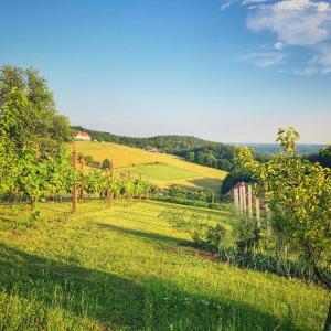 Landhaus Schaller im Südburgenland