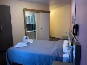 航空酒店 - 韦利济·维拉库布莱