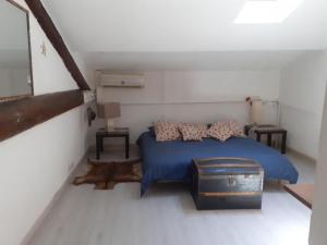 Chambre dans une grande Maison entre Canal du Midi et Centre Ville