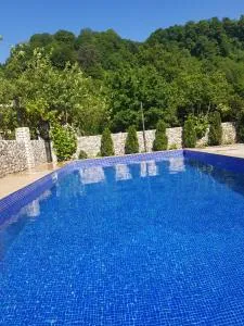 Vizitori Hotel - 高尼奥