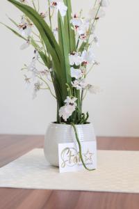 Star 1 Floating House, Marina Portorož