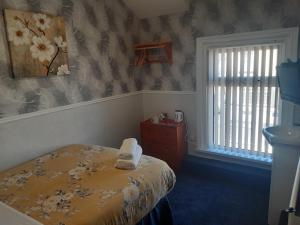 Economy Single Room room in Wellington Hotel