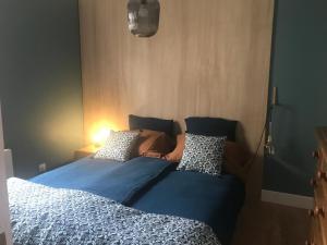 Appart'hotels Ecolodge Appartements 2 pieces cosy gare : photos des chambres