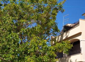 BOUTIQUE ROOMS Mare Fabulas 