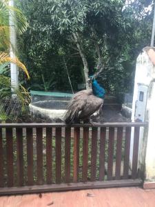 Waterfall El Paraíso - Cabañas, jacuzzi, piscina y cascada en medio de la naturaleza