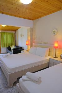 Alekas Studios Nisos-Samothraki Greece