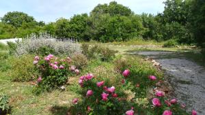 Maisons de vacances Entre Brousse Et Garrigue : photos des chambres