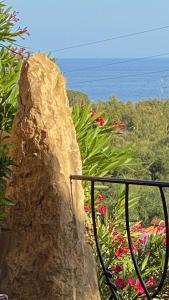 Sa Terrazza costarei img3