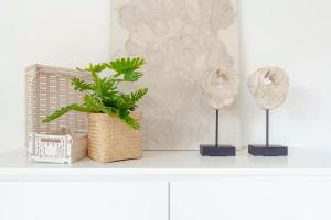 Perfektes Appartement für Erholung in der Wachau!!