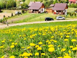 Domek Eden 7 Kaszuby balia sauna alpaki