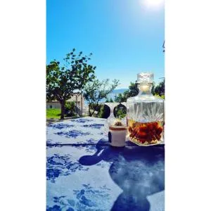 Rooms Verda - 斯维蒂尤拉伊