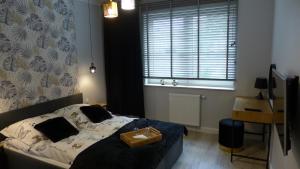 APARTAMENT PIOTR