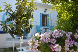 Perivoli 2-Chora(5min away from the center by car) Naxos Greece