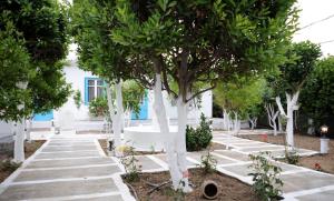 Perivoli 2-Chora(5min away from the center by car) Naxos Greece