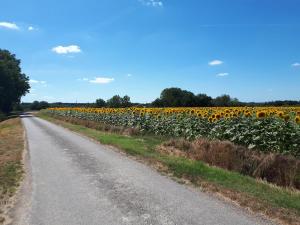 Maisons de vacances Les Bruyeres de Jeanne et Rene Zoo de Beauval a 20min,Chateaux TOUT INCLUS : photos des chambres