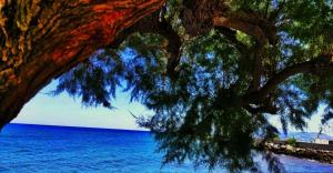 Crete Essence Villas - Makrygialos