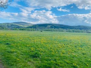 Iseroase House Deluxe