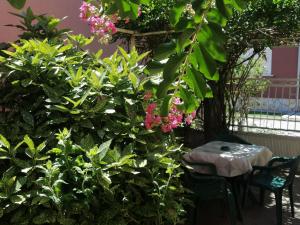 Apartman Nana Jagodina