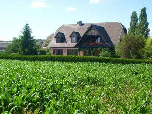 Appartement charmant à Hochfelden - 100 m² et parking gratuit