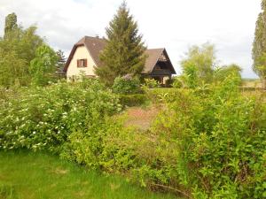 Appartements Appartement charmant a Hochfelden - 100 m² et parking gratuit : photos des chambres