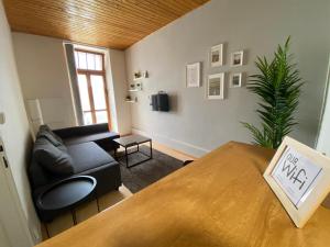 Downtown Flat under Spilberk Castle