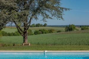 Maisons de vacances Quiet 50's cottage - 12 p. - Private park & pool : photos des chambres