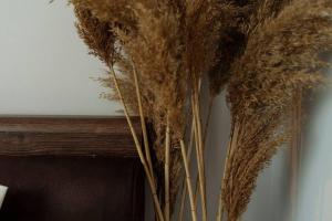 Amazing City View - Terrace+Netflix - City Center