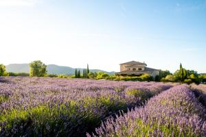 Hotels Domaine du Frigoulet : photos des chambres