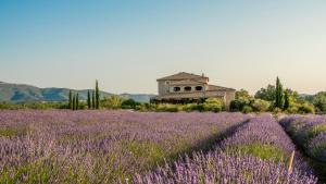 Hotels Domaine du Frigoulet : photos des chambres