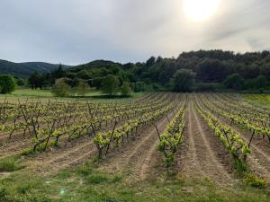 Villas Villa Grenache, La Bastide de Marie, Villa avec services : photos des chambres