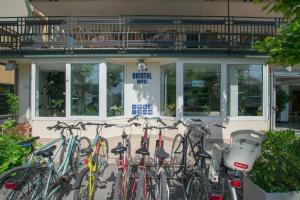 Hotel Bristol - a 30 mt dalla spiaggia