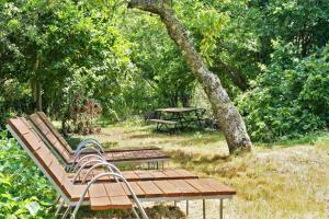 Maisons de vacances Maison de 2 chambres avec jardin amenage et wifi a Saint Basile : photos des chambres