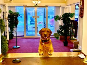 The Lochalsh Hotel - Views of Skye Bridge