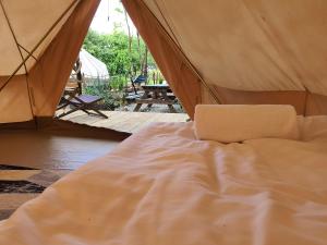 Glamping Ławica- spływy Przełomem Bardzkim