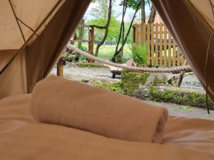 Glamping Ławica- spływy Przełomem Bardzkim