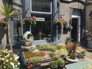 The Glenroy Guest House