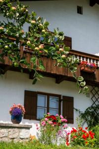 Haus Bergfreund