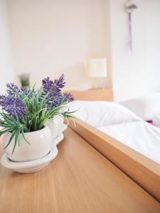 Penzion PANORAMA Janovičky