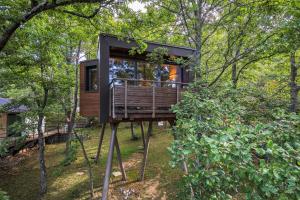 Junior Suite - Tree House