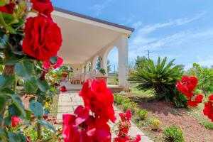 Delle Rose, Hotel & Horse Riding