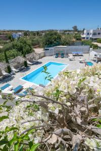 Dahlia Apartments And Studios Paros Greece