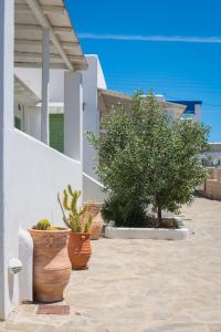 Dahlia Apartments And Studios Paros Greece