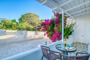 Dahlia Apartments And Studios Paros Greece