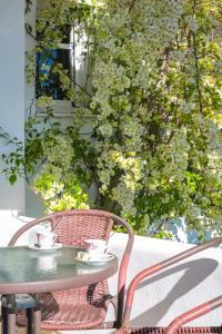 Dahlia Apartments And Studios Paros Greece