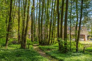 Maisons de vacances GITES du BOIS des PERRUCHES : photos des chambres